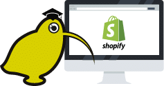 Formation Shopify